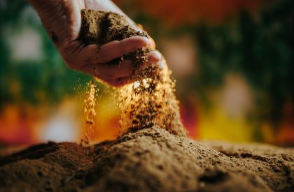 a-close-up-shot-of-a-gardener-s-hands-holding-a-pi-2024-10-18-11-14-48-utc
