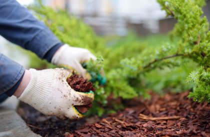 bush-2025-02-21-19-31-23-utc