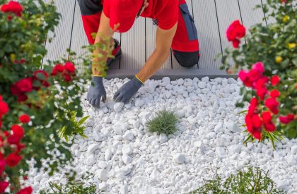 Professional Gardener Completing Landscape Design with White Peb Top View of Professional Landscaper Arranging Decorative White Garden Pebbles in Client's Front Yard. Landscape Gardening Theme.